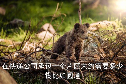 在快递公司承包一个片区大约需要多少钱比如圆通