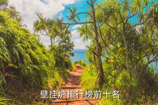  壁挂炉排行榜前十名