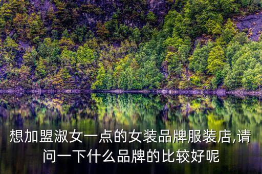 想加盟淑女一点的女装品牌服装店,请问一下什么品牌的比较好呢