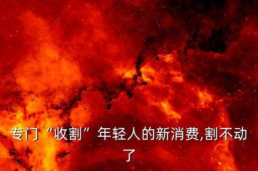河北驴肉火烧加盟费是多少钱