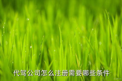  代驾公司怎么注册需要哪些条件