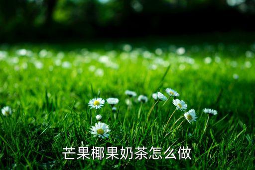 开心椰子加盟费是多少,整个椰子加盟费多少