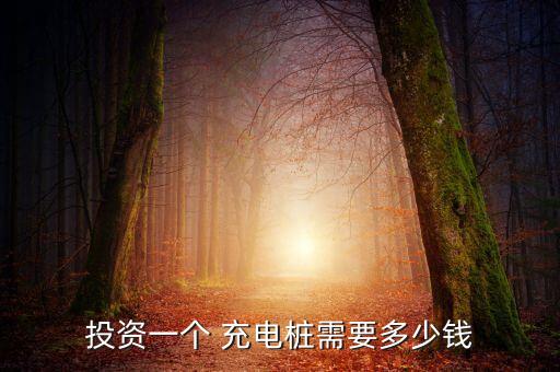 投资一个 充电桩需要多少钱