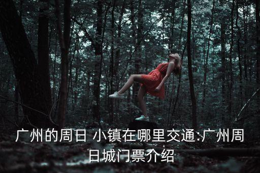 星8小镇加盟费多少,罗马小镇加盟费多少钱