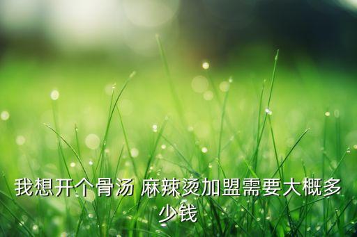 我想开个骨汤 麻辣烫加盟需要大概多少钱