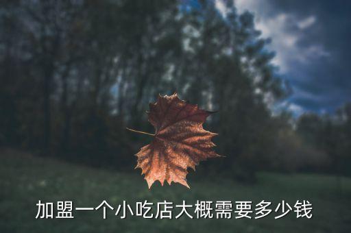 合肥社区餐饮加盟费多少,餐饮加盟费一般多少钱啊