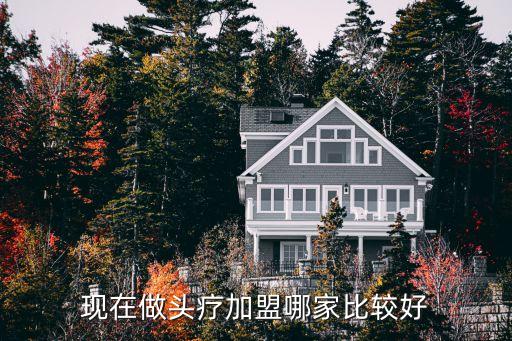 现在做头疗加盟哪家比较好