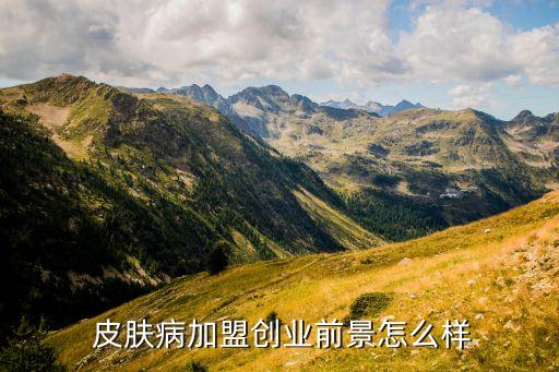  皮肤病加盟创业前景怎么样
