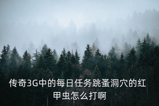 传奇3G中的每日任务跳蚤洞穴的红 甲虫怎么打啊
