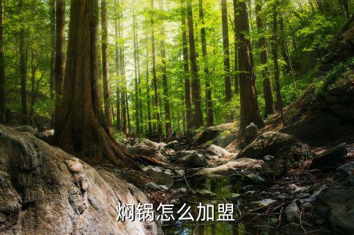 焖锅怎么加盟