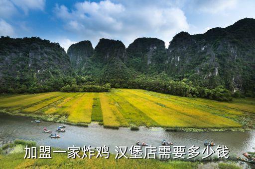 西苑食堂汉堡加盟费多少