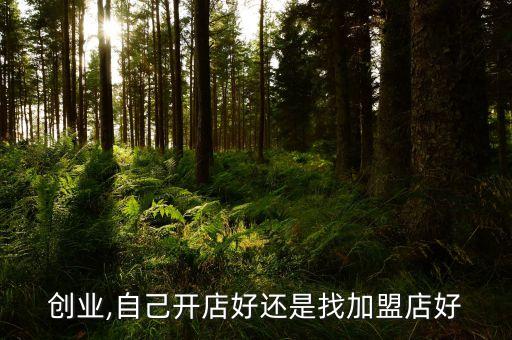 创业,自己开店好还是找加盟店好
