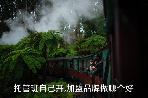 托管班自己开,加盟品牌做哪个好