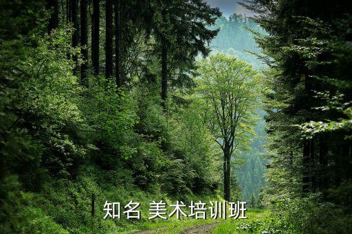 知名 美术培训班