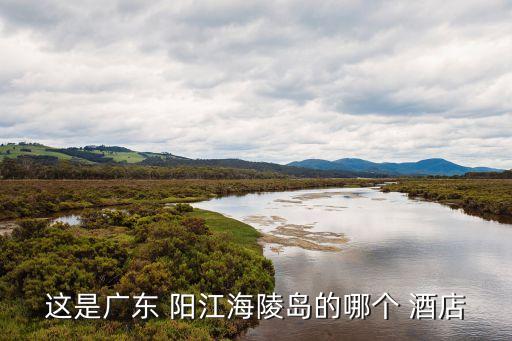 这是广东 阳江海陵岛的哪个 酒店