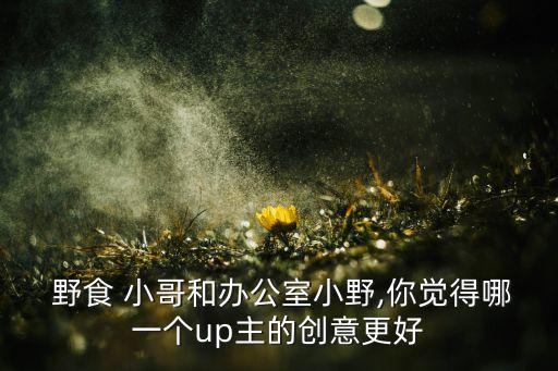  野食 小哥和办公室小野,你觉得哪一个up主的创意更好