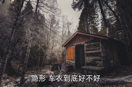 隐形 车衣到底好不好