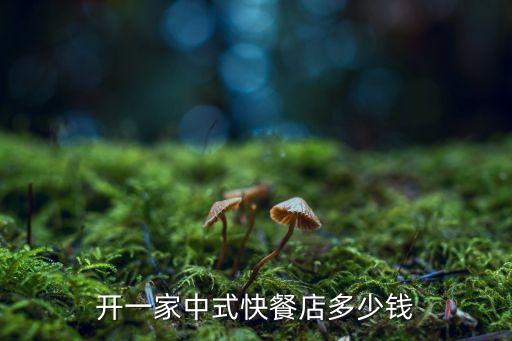 开一家中式快餐店多少钱