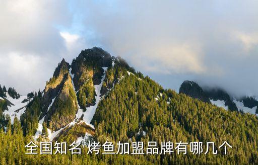 全国知名 烤鱼加盟品牌有哪几个