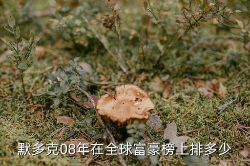 温州水上动力浮板加盟费用