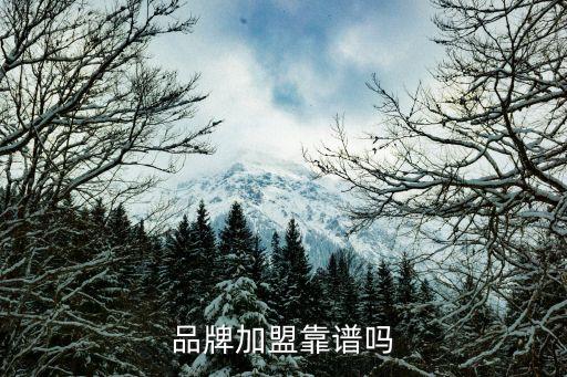 品牌加盟靠谱吗