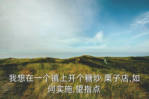 我想在一个镇上开个糖炒 栗子店,如何实施,望指点