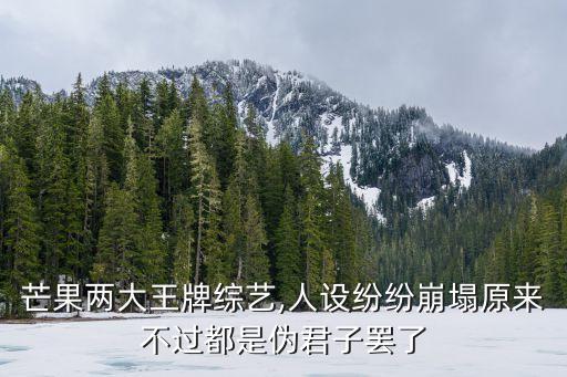 爱小艺智能陪练加盟费