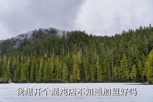 馄饨王连锁店加盟费用,里手馄饨加盟费用多少钱