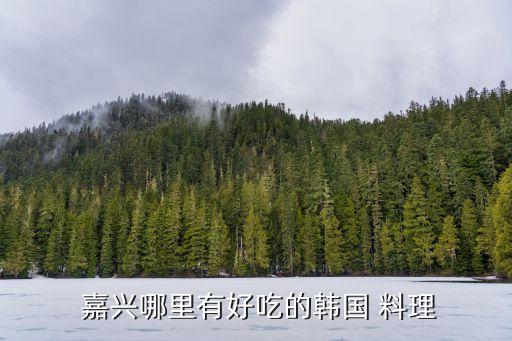 嘉兴韩式料理加盟费利润