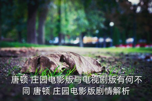  唐顿 庄园电影版与电视剧版有何不同 唐顿 庄园电影版剧情解析