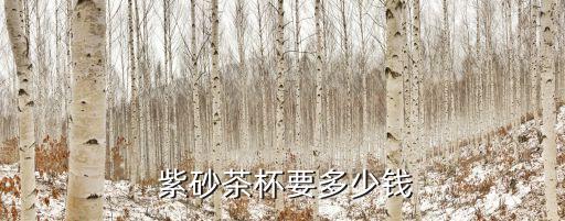  紫砂茶杯要多少钱