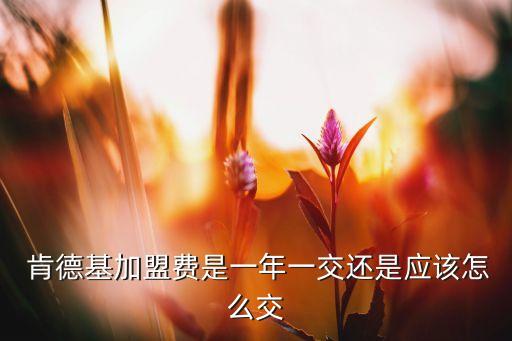  肯德基加盟费是一年一交还是应该怎么交