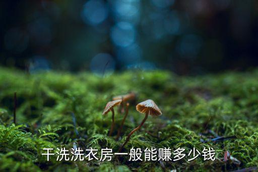 干洗洗衣房一般能赚多少钱