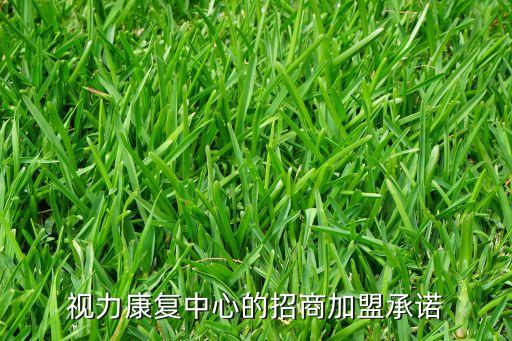 视力康复中心的招商加盟承诺