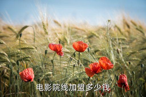 电影院线加盟多少钱
