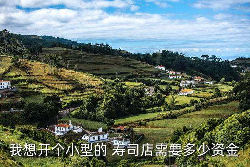 我想开个小型的 寿司店需要多少资金