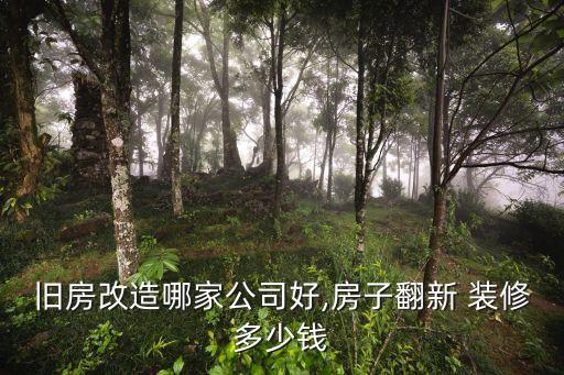 旧房改造哪家公司好,房子翻新 装修多少钱