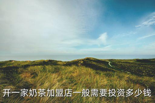 山东茶饮店加盟费用明细,世界茶饮加盟费用需要多少钱