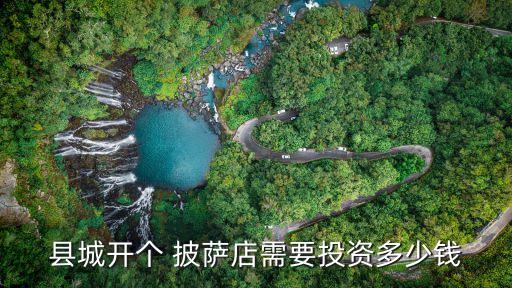 县城开个 披萨店需要投资多少钱
