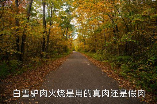 白雪驴肉火烧是用的真肉还是假肉