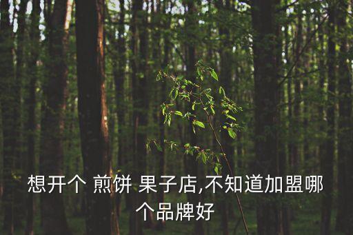 想开个 煎饼 果子店,不知道加盟哪个品牌好