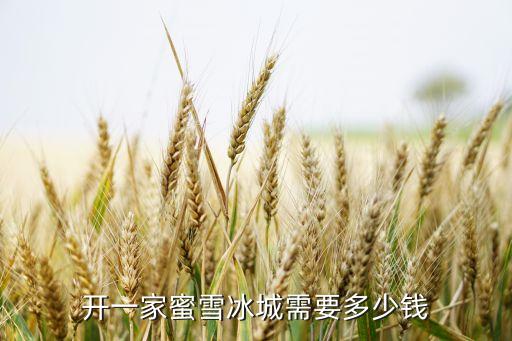 开一家蜜雪冰城需要多少钱