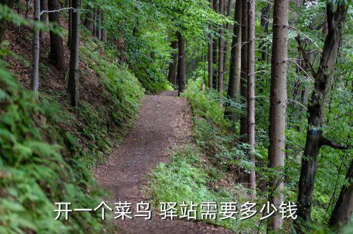 开一个菜鸟 驿站需要多少钱