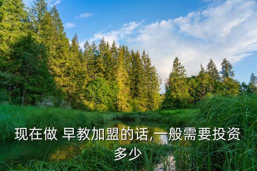现在做 早教加盟的话,一般需要投资多少