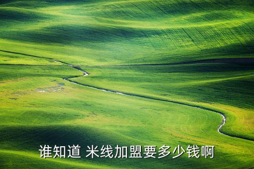 专业米线店品牌加盟费用,重庆米线加盟品牌排行