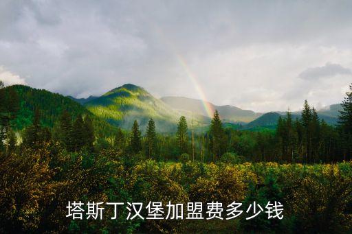 塔斯丁汉堡加盟费多少钱
