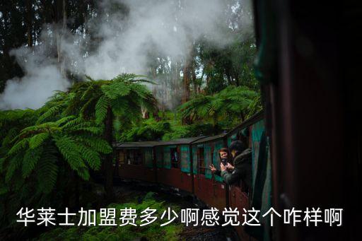 华莱士加盟费多少啊感觉这个咋样啊