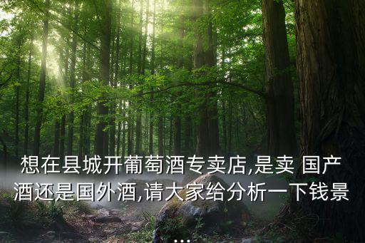 想在县城开葡萄酒专卖店,是卖 国产酒还是国外酒,请大家给分析一下钱景...