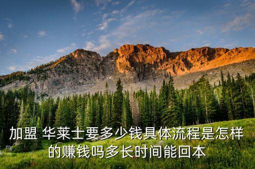 加盟 华莱士要多少钱具体流程是怎样的赚钱吗多长时间能回本