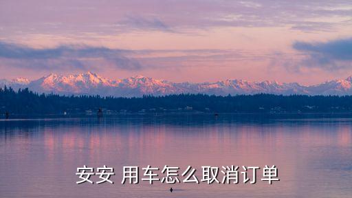  安安 用车怎么取消订单